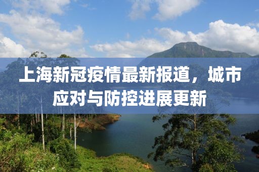 上海新冠疫情最新报道，城市应对与防控进展更新