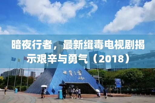 暗夜行者，最新缉毒电视剧揭示艰辛与勇气（2018）