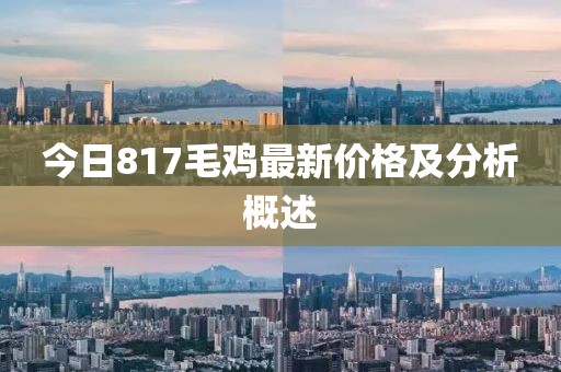 今日817毛鸡最新价格及分析概述