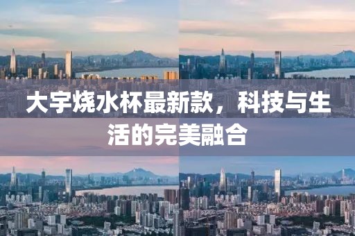 大宇烧水杯最新款，科技与生活的完美融合