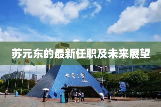 苏元东的最新任职及未来展望