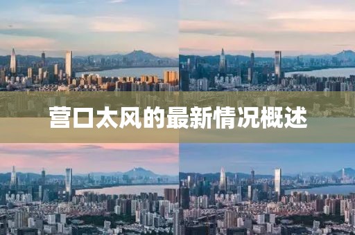 营口太风的最新情况概述