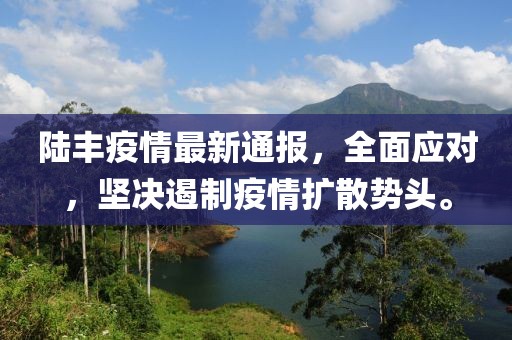陆丰疫情最新通报，全面应对，坚决遏制疫情扩散势头。