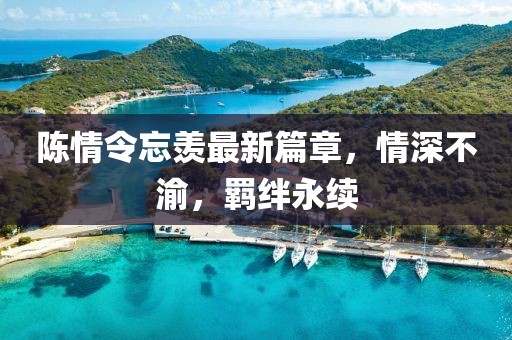 陈情令忘羡最新篇章，情深不渝，羁绊永续