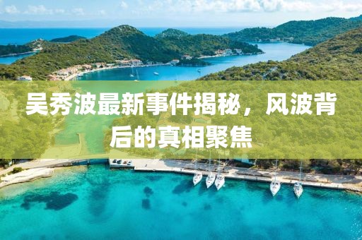 吴秀波最新事件揭秘，风波背后的真相聚焦