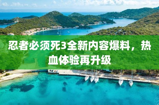忍者必须死3全新内容爆料，热血体验再升级