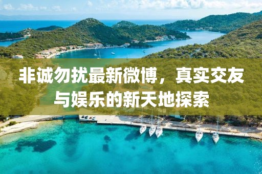 非诚勿扰最新微博，真实交友与娱乐的新天地探索