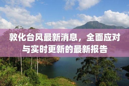 敦化台风最新消息，全面应对与实时更新的最新报告