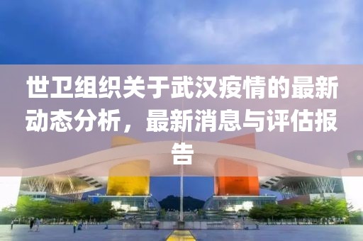 世卫组织关于武汉疫情的最新动态分析，最新消息与评估报告