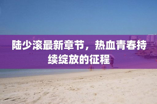 陆少滚最新章节，热血青春持续绽放的征程