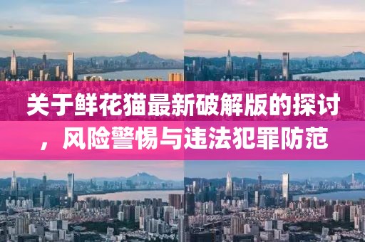关于鲜花猫最新破解版的探讨，风险警惕与违法犯罪防范