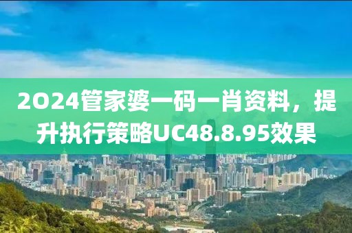 2O24管家婆一码一肖资料，提升执行策略UC48.8.95效果