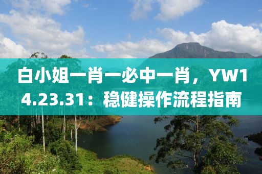 白小姐一肖一必中一肖，YW14.23.31：稳健操作流程指南