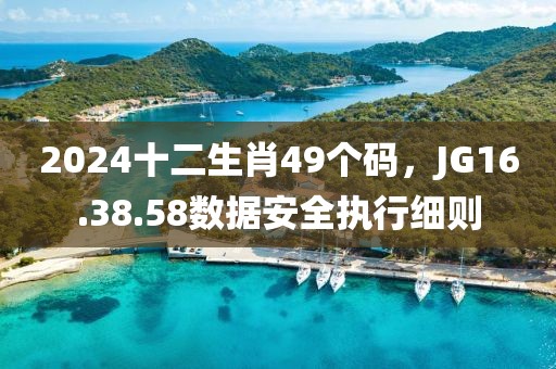 2024十二生肖49个码，JG16.38.58数据安全执行细则