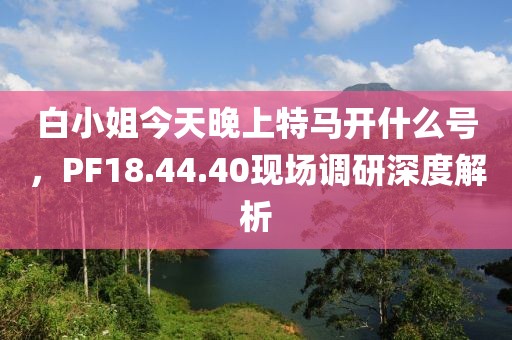 白小姐今天晚上特马开什么号，PF18.44.40现场调研深度解析