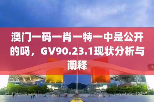 澳门一码一肖一特一中是公开的吗，GV90.23.1现状分析与阐释