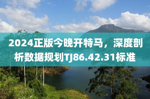 2024正版今晚开特马，深度剖析数据规划TJ86.42.31标准