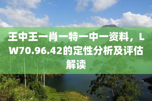 王中王一肖一特一中一资料，LW70.96.42的定性分析及评估解读