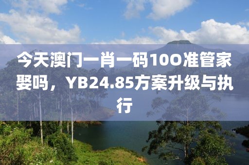今天澳门一肖一码10O准管家娶吗，YB24.85方案升级与执行
