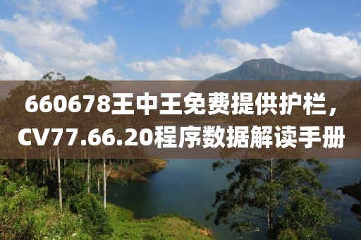 660678王中王免费提供护栏，CV77.66.20程序数据解读手册