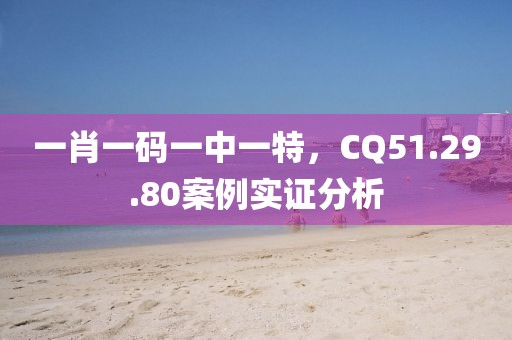 一肖一码一中一特，CQ51.29.80案例实证分析
