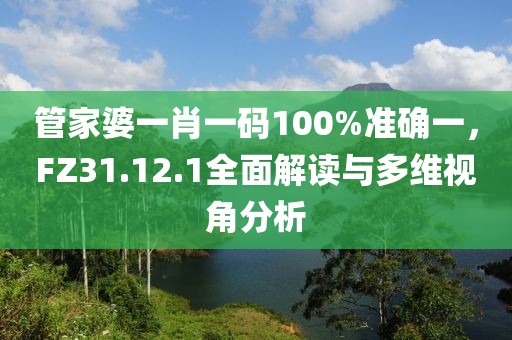 管家婆一肖一码100%准确一，FZ31.12.1全面解读与多维视角分析