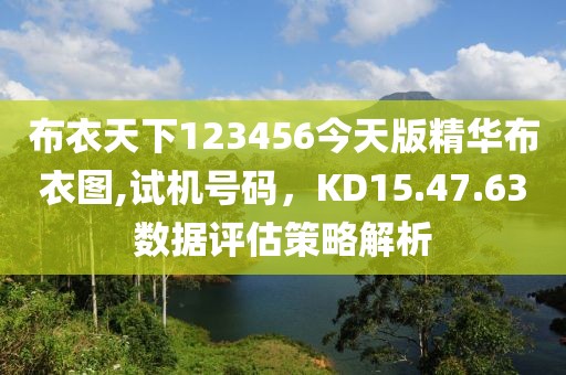 布衣天下123456今天版精华布衣图,试机号码，KD15.47.63数据评估策略解析