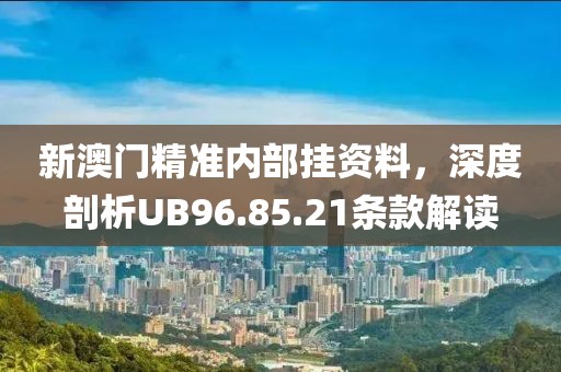 新澳门精准内部挂资料，深度剖析UB96.85.21条款解读