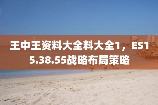 王中王资料大全料大全1，ES15.38.55战略布局策略