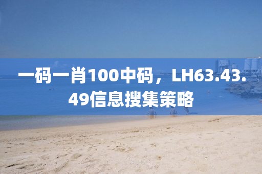 一码一肖100中码，LH63.43.49信息搜集策略