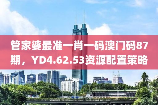 管家婆最准一肖一码澳门码87期，YD4.62.53资源配置策略