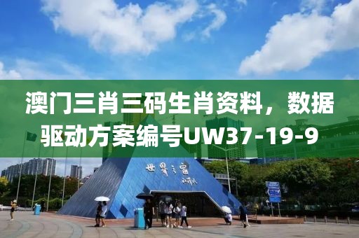 澳门三肖三码生肖资料，数据驱动方案编号UW37-19-9