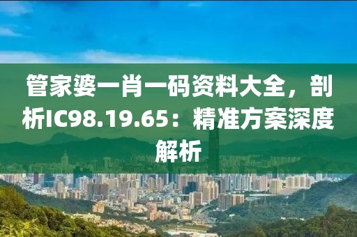 管家婆一肖一码资料大全，剖析IC98.19.65：精准方案深度解析