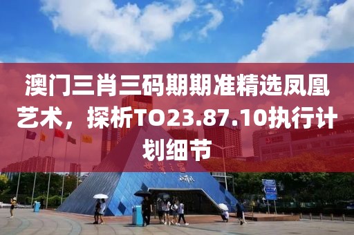 澳门三肖三码期期准精选凤凰艺术，探析TO23.87.10执行计划细节