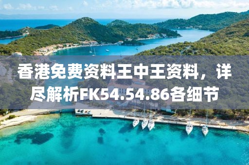 香港免费资料王中王资料，详尽解析FK54.54.86各细节