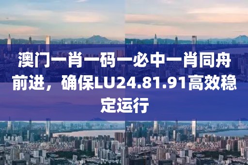 澳门一肖一码一必中一肖同舟前进，确保LU24.81.91高效稳定运行
