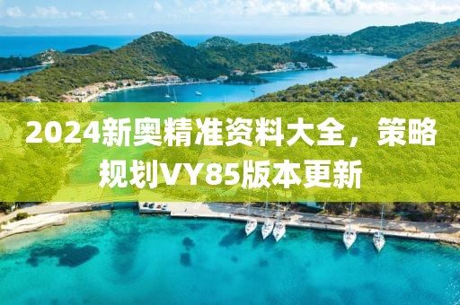 2024新奥精准资料大全，策略规划VY85版本更新