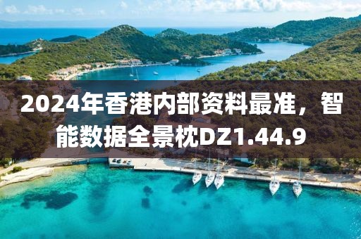 2024年香港内部资料最准，智能数据全景枕DZ1.44.9