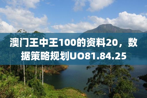 澳门王中王100的资料20，数据策略规划UO81.84.25