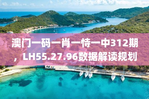 澳门一码一肖一恃一中312期，LH55.27.96数据解读规划