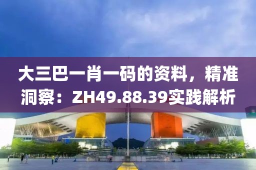 大三巴一肖一码的资料，精准洞察：ZH49.88.39实践解析