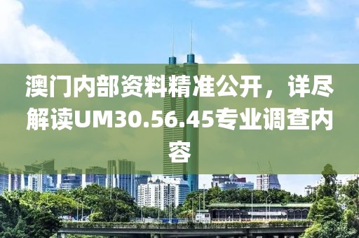 澳门内部资料精准公开，详尽解读UM30.56.45专业调查内容