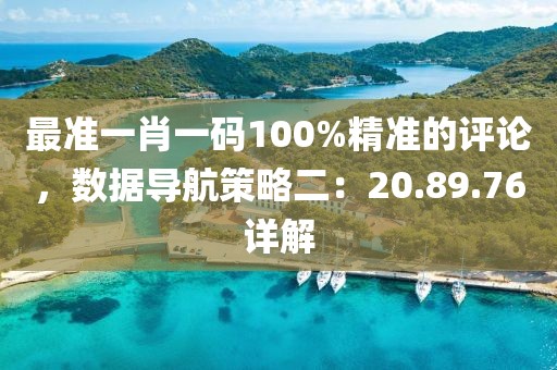 最准一肖一码100%精准的评论，数据导航策略二：20.89.76详解