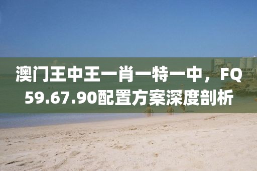 澳门王中王一肖一特一中，FQ59.67.90配置方案深度剖析