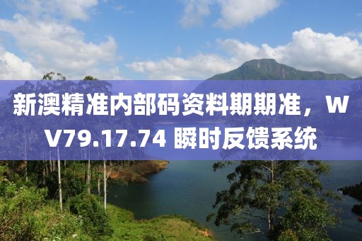 新澳精准内部码资料期期准，WV79.17.74 瞬时反馈系统