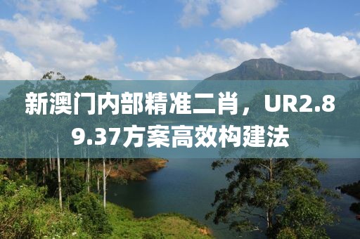 新澳门内部精准二肖，UR2.89.37方案高效构建法