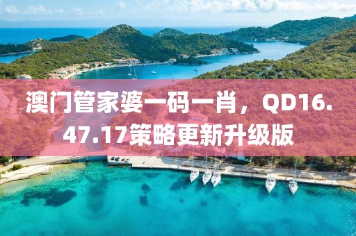 澳门管家婆一码一肖，QD16.47.17策略更新升级版