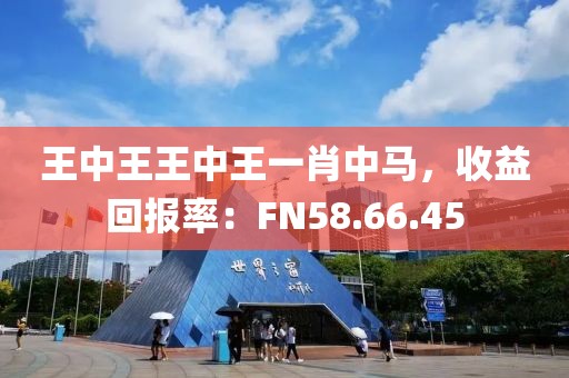 王中王王中王一肖中马，收益回报率：FN58.66.45