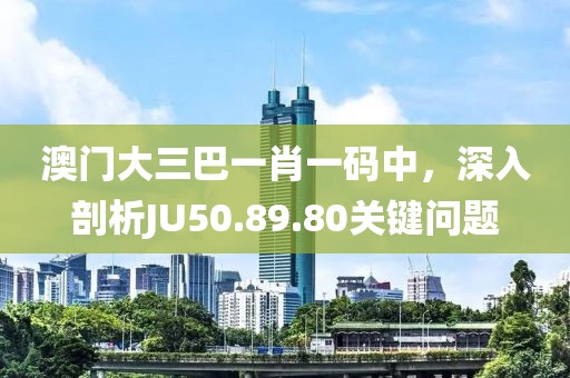 澳门大三巴一肖一码中，深入剖析JU50.89.80关键问题