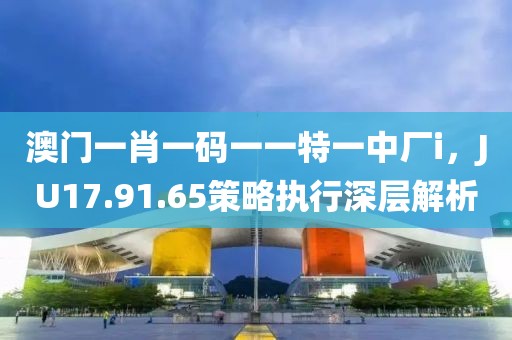 澳门一肖一码一一特一中厂i，JU17.91.65策略执行深层解析